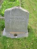 image number IMG0353